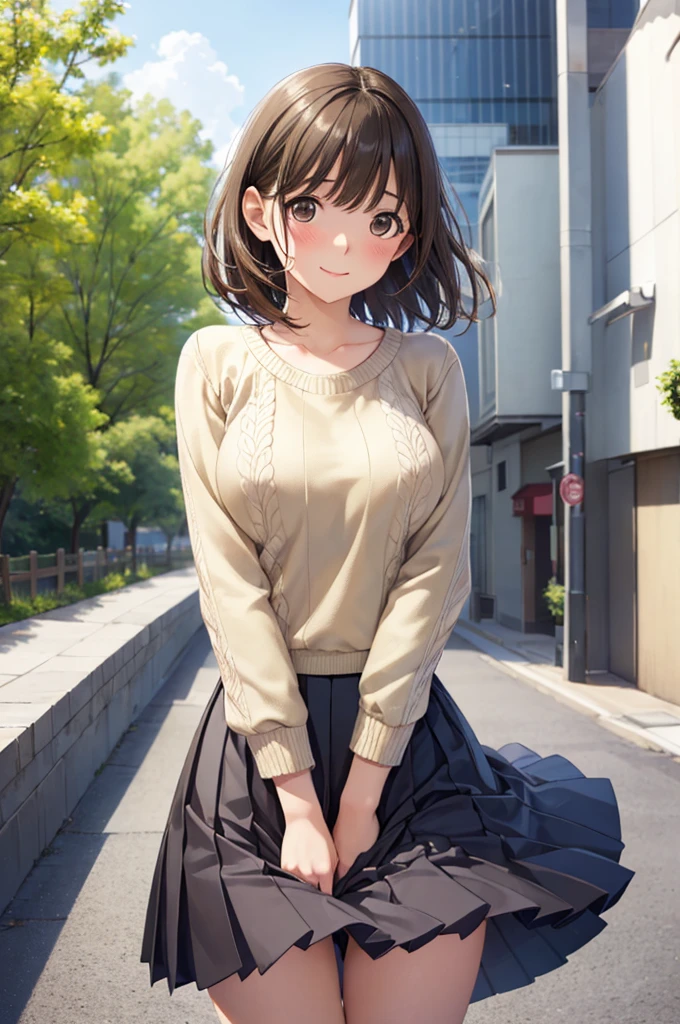 (masterpiece:1.2, Highest quality), (Realistic, photoRealistic:1.4), Beautiful illustrations, (Natural Side Lighting, Cinema Lighting), , 
(View your viewers), 1 girl, Japanese, high school girl, Perfect Face, Cute and symmetrical face, Glowing Skin, , 
(anegasaki nene、Shiny brown hair, short hair, (Beautiful brown eyes)、smile、Sparkling eyes, (Fine grain)、Ultra-detailed eyes、Highly detailed face, Highly detailed eyes,Cowboy Shot)、
Beautiful Hair, Beautiful Face, Beautiful attention to detail, Beautiful clavicle, Beautiful body, Beautiful , Beautiful thighs, Beautiful feet, 
((Symmetrical clothing, Detailed cloth texture, Beige sweater, Pleated skirt)), 
(Beautiful views), Daytime, street, (Look forward), (smile、Blushing, Embarrassed expression), (((Pulling on skirt, Wind power increase))), 