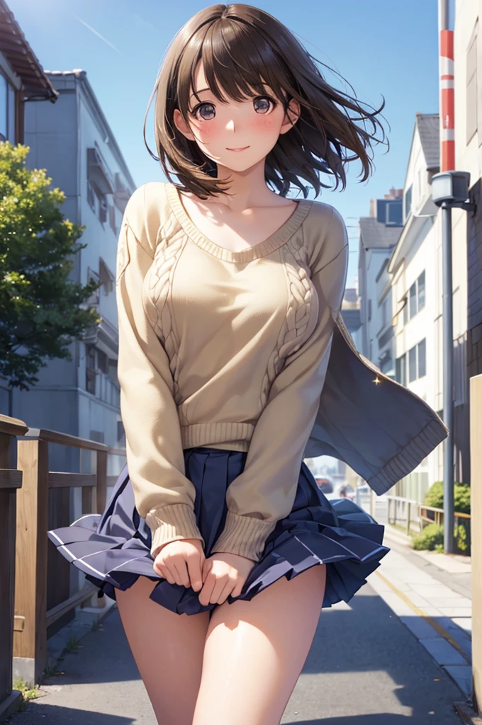 (masterpiece:1.2, Highest quality), (Realistic, photoRealistic:1.4), Beautiful illustrations, (Natural Side Lighting, Cinema Lighting), , 
(View your viewers), 1 girl, Japanese, high school girl, Perfect Face, Cute and symmetrical face, Glowing Skin, , 
(anegasaki nene、Shiny brown hair, short hair, (Beautiful brown eyes)、smile、Sparkling eyes, (Fine grain)、Ultra-detailed eyes、Highly detailed face, Highly detailed eyes,Cowboy Shot)、
Beautiful Hair, Beautiful Face, Beautiful attention to detail, Beautiful clavicle, Beautiful body, Beautiful breasts, Beautiful thighs, Beautiful feet, 
((Symmetrical clothing, Detailed cloth texture, Beige sweater, Pleated skirt)), 
(Beautiful views), Daytime, street, (Look forward), (smile、Blushing, Embarrassed expression), (((Pulling on skirt, Wind power increase))), 