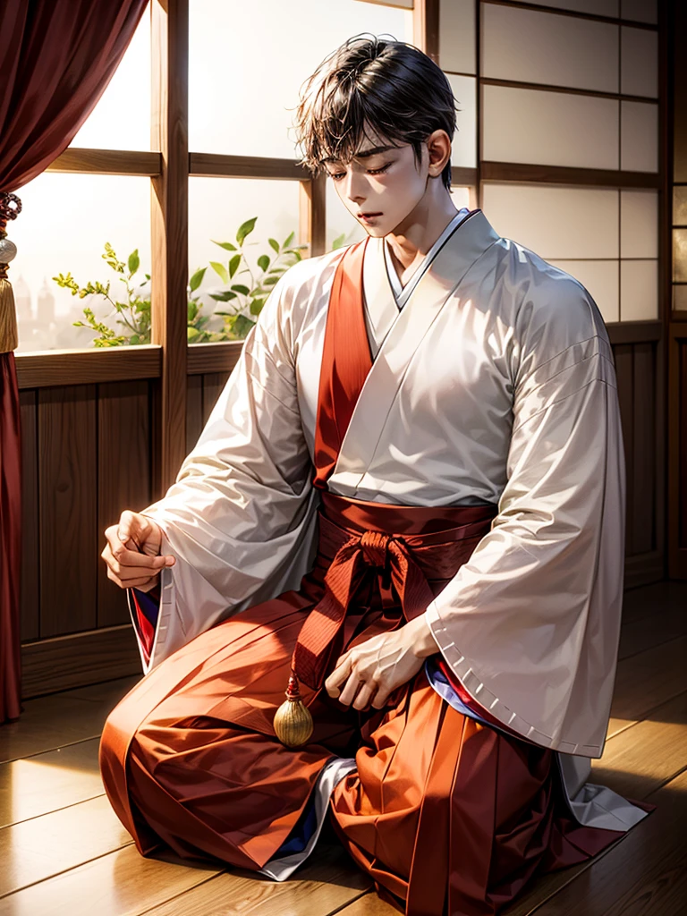 Highest Resolution,Highest quality,A beautiful young boy in hakama sitting in meditation with his eyes closed,Wooden floor,Japanese-style house,Veranda,(((whole body))),front,Beautiful face,