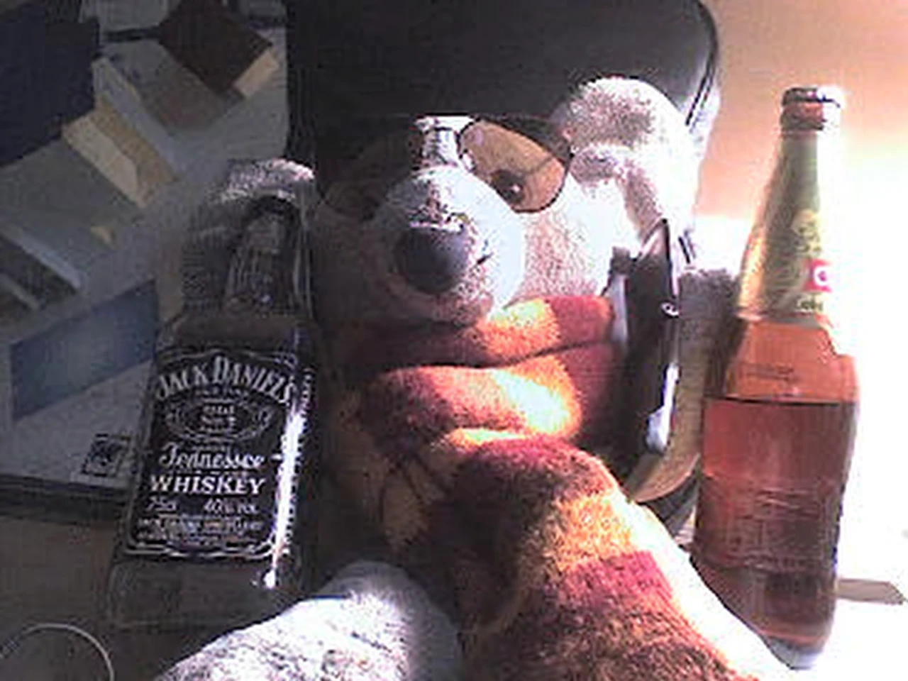 there is a teddy bear that is sitting next to a bottle of whisky, ( Bear with sunglasses, relax after a hard day, shot on webcam, whisky, the teddy bear holds a gun, bottles of alcohol next to him, very very low quality image, chilling together at the club, drinking whisky, Looking cool and stylish, Taken with Hasselblade camera.