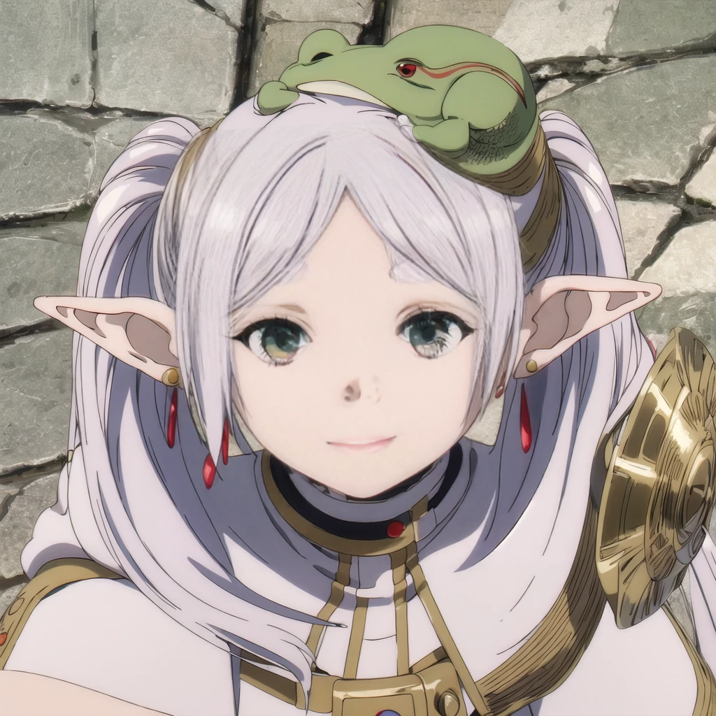 1girl, (masterpiece:1.3), (high resolution), (8K), (extremely detailed), (4k), (pixiv), perfect face, nice eyes and face, (best quality), (super detailed), detailed face and eyes, (solo), textured skin, absurdres, highres, a frog over her head, wz_sousou_no_frieren_style, wz_sousou_no_frieren_style, twintails, very long hair, silver hair, pointy ears, elf, white capelet, green eyes, black pantyhose, earrings, white skirt, belt, white sleeves, light, face picture pov zoom, smile, light rays, sunlight