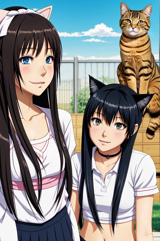 Create an anime about a girl and a cat
