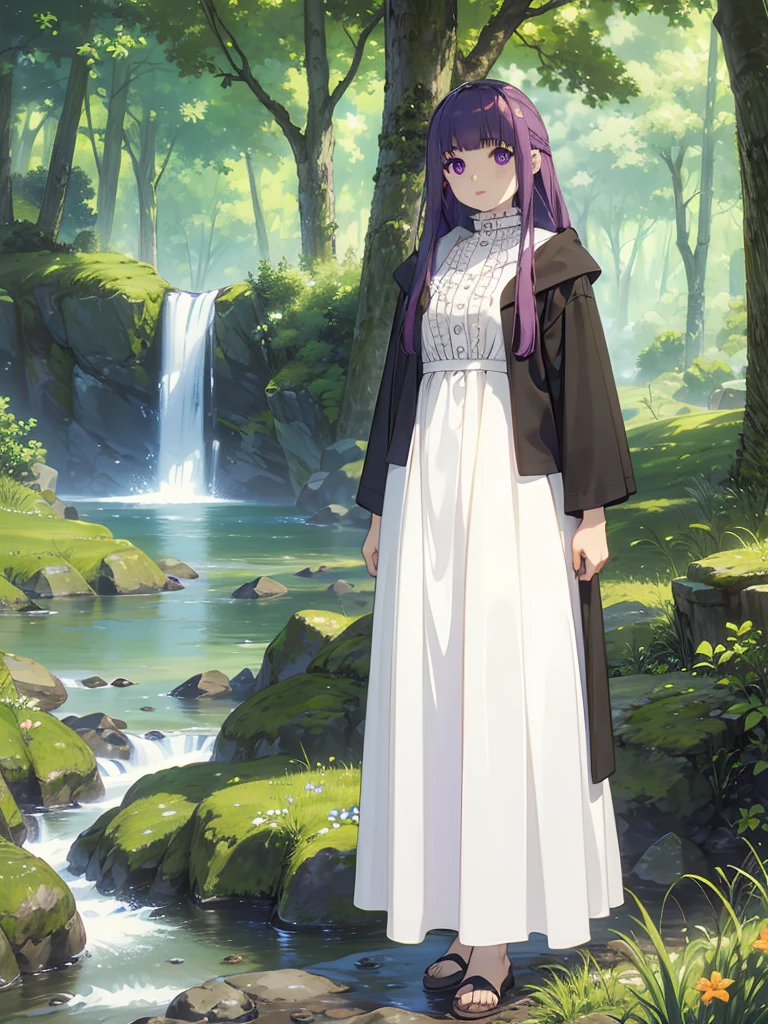 score_9, score_8_up, score_7_up,
FernSSnF,
1girl, solo, closed mouth,
purple hair, long hair, purple eyes, bright pupils, blunt bangs,
FernCasual, white dress, black robe, open clothes, hood, frilled collar,
standing, looking at the viewer,
fantasy, medieval, photo background, forest, tree, moss, stream, stone, leaf, maple tree, grass, nature, blurry background