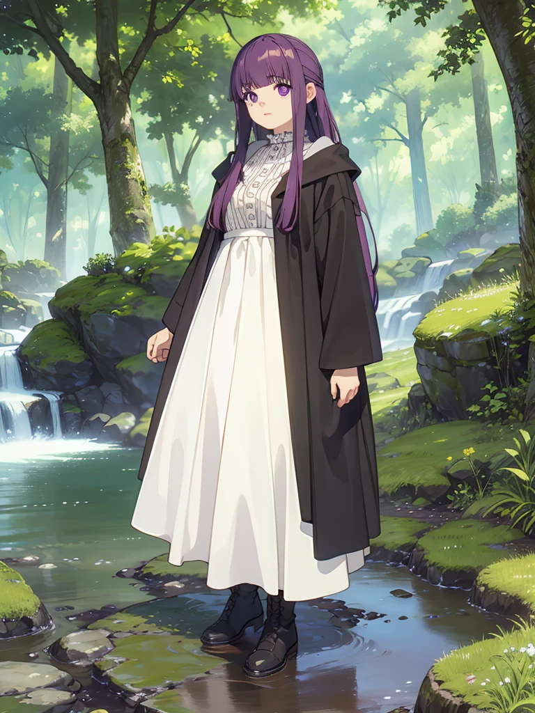 score_9, score_8_up, score_7_up,
FernSSnF,
1girl, solo, closed mouth,
purple hair, long hair, purple eyes, bright pupils, blunt bangs,
FernCasual,  white dress, black robe, open clothes, hood, frilled collar, 
standing, looking at the viewer,
fantasy, medieval, photo background, forest, tree, moss, stream, stone, leaf, maple tree, grass, nature, blurry background