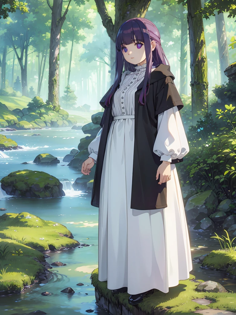 score_9, score_8_up, score_7_up,
FernSSnF,
1girl, solo, closed mouth,
purple hair, long hair, purple eyes, bright pupils, blunt bangs,
FernCasual, white dress, black robe, open clothes, hood, frilled collar,
standing, looking at the viewer,
fantasy, medieval, photo background, forest, tree, moss, stream, stone, leaf, maple tree, grass, nature, blurry background