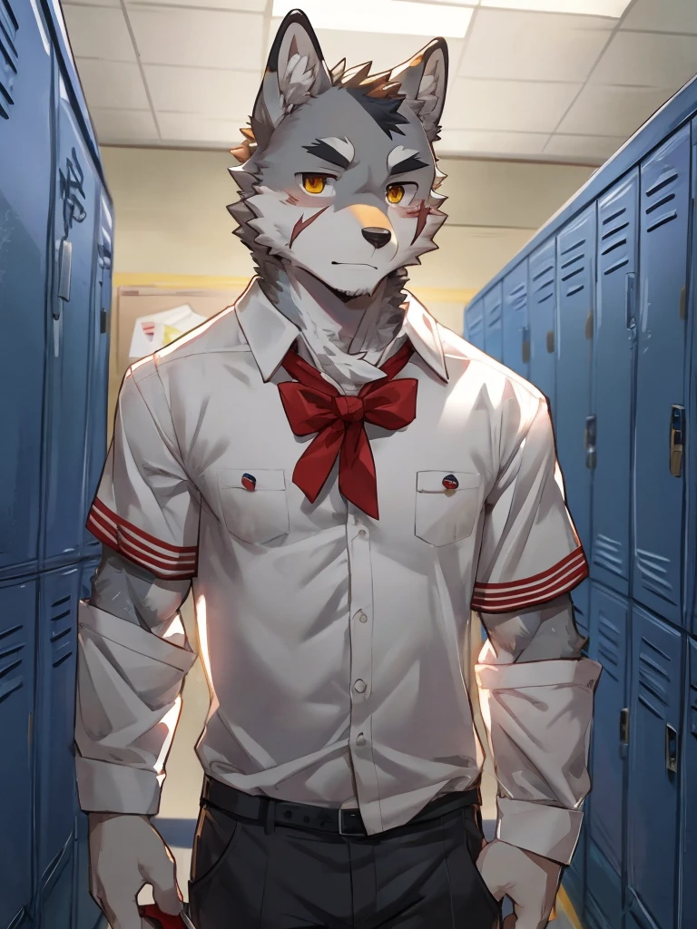 embedding:Gray wolf,Golden Eyes，Single Person,a scar on the face.Gray fur，High school students,male school uniform,A buzz cut,no hair,Standing by the school locker,Male,Handsome,muscle,A little nervous,Smart,Best quality hands, best quality eye，detailed fur，Delicate eyes.Extreme picture quality，by sollyz,by zixiong,by milkytiger1145