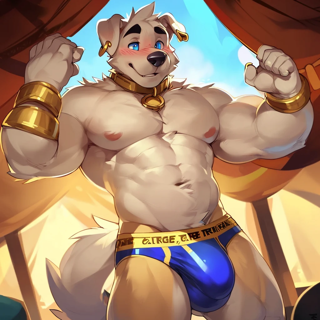Solo, male (((retriever, muscular, white fur, white body, white fur, black eyebrows, black nose, blue eyes, folded ears, flustered expression, blush, ear piercing, ear ring, golden collar, gold cuffs, thin waist, underwear, big bulge))) standing, 5 fingers, tribal tent ((focus eyes, focus pupils, focus white body, focus white fur, focus 5 fingers, focus golden collar, focus underwear)) full body, perfect anatomy, adult character, by darkgem, by mystikfox61, by glitter trap boy