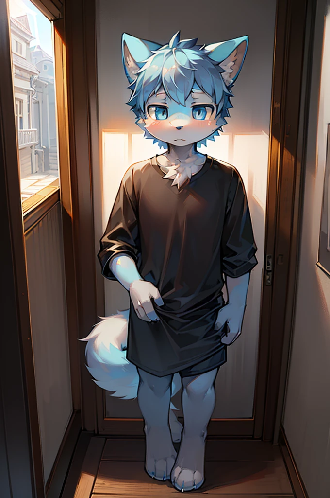 Normal scenario (Furry light blue fox boy), Standing,Facing the camera, ((Melancholy, Detailed face, Clear big eyes,blue eyes,Meticulous attention to detail)), Natural and soft lighting, 8K, SF Express, Autumn Light , peaceful , (Fluffy Paws), Front view,Wearing a shirt
