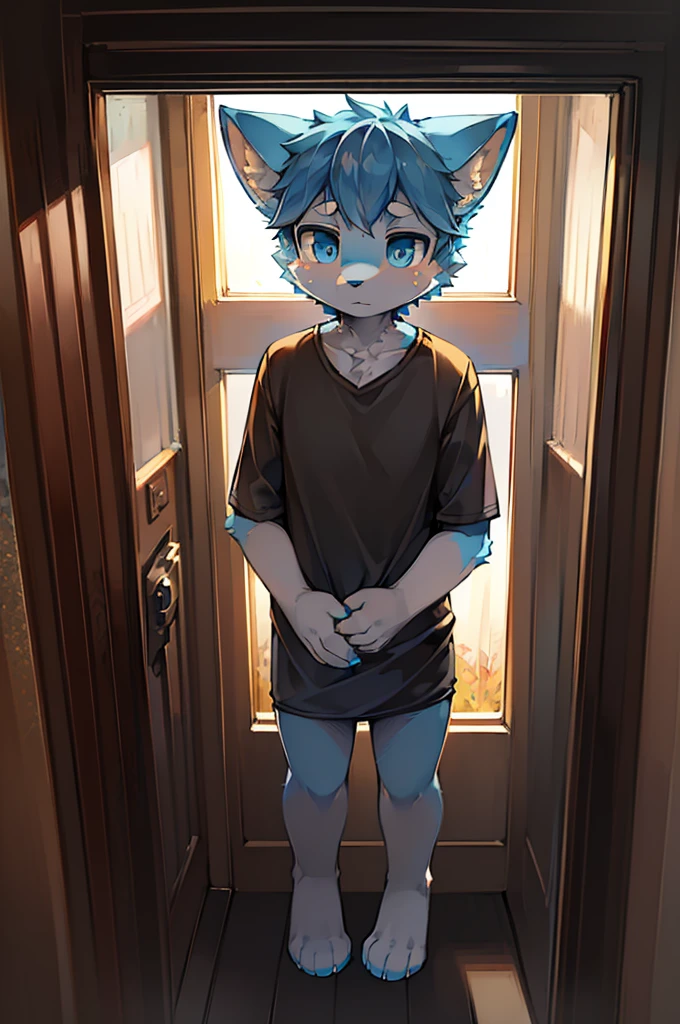 Normal scenario (Furry light blue fox boy), Standing,Facing the camera, ((Melancholy, Detailed face, Clear big eyes,blue eyes,Meticulous attention to detail)), Natural and soft lighting, 8K, SF Express, Autumn Light , peaceful , (Fluffy Paws), Front view,Wearing a shirt