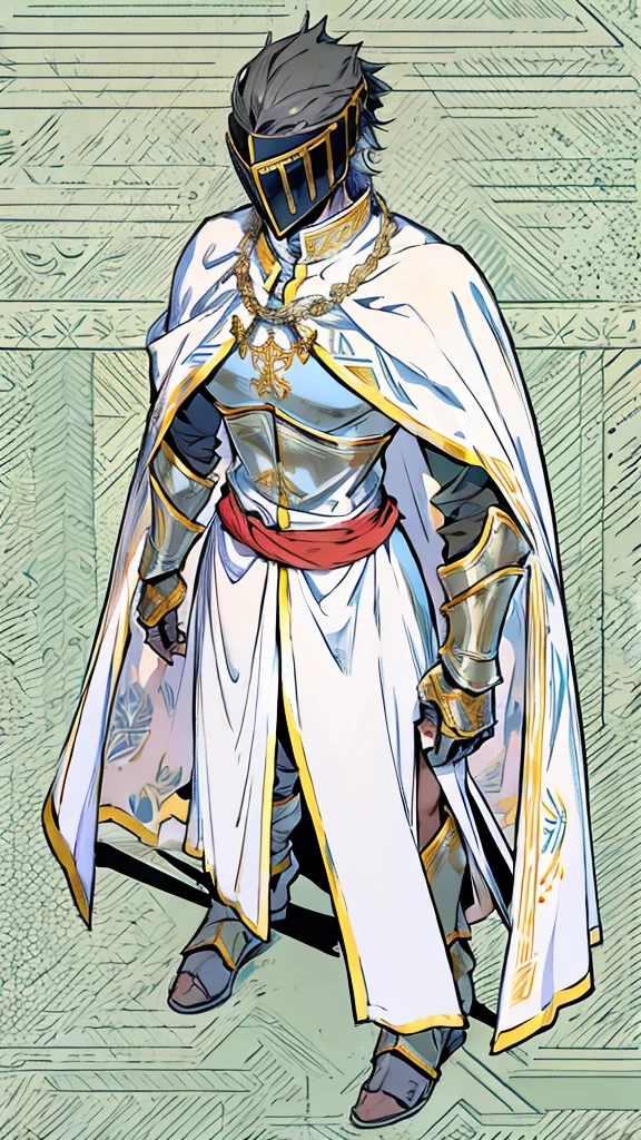 Templar warrior in armor, wearing armor and a white skirt, he also wears a cloak with gold borders