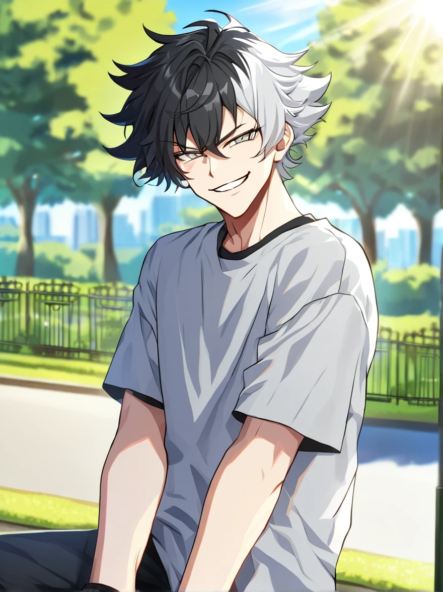 Solo male, two toned hair black amd white, gray eyes, smirking, street clothing, park background, sun shining
