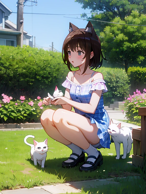 squat、cat、garden、Holding a cat toy、Off the shoulder。Gingham Check mile、Panty Shot、White panties、Dynamic Angles