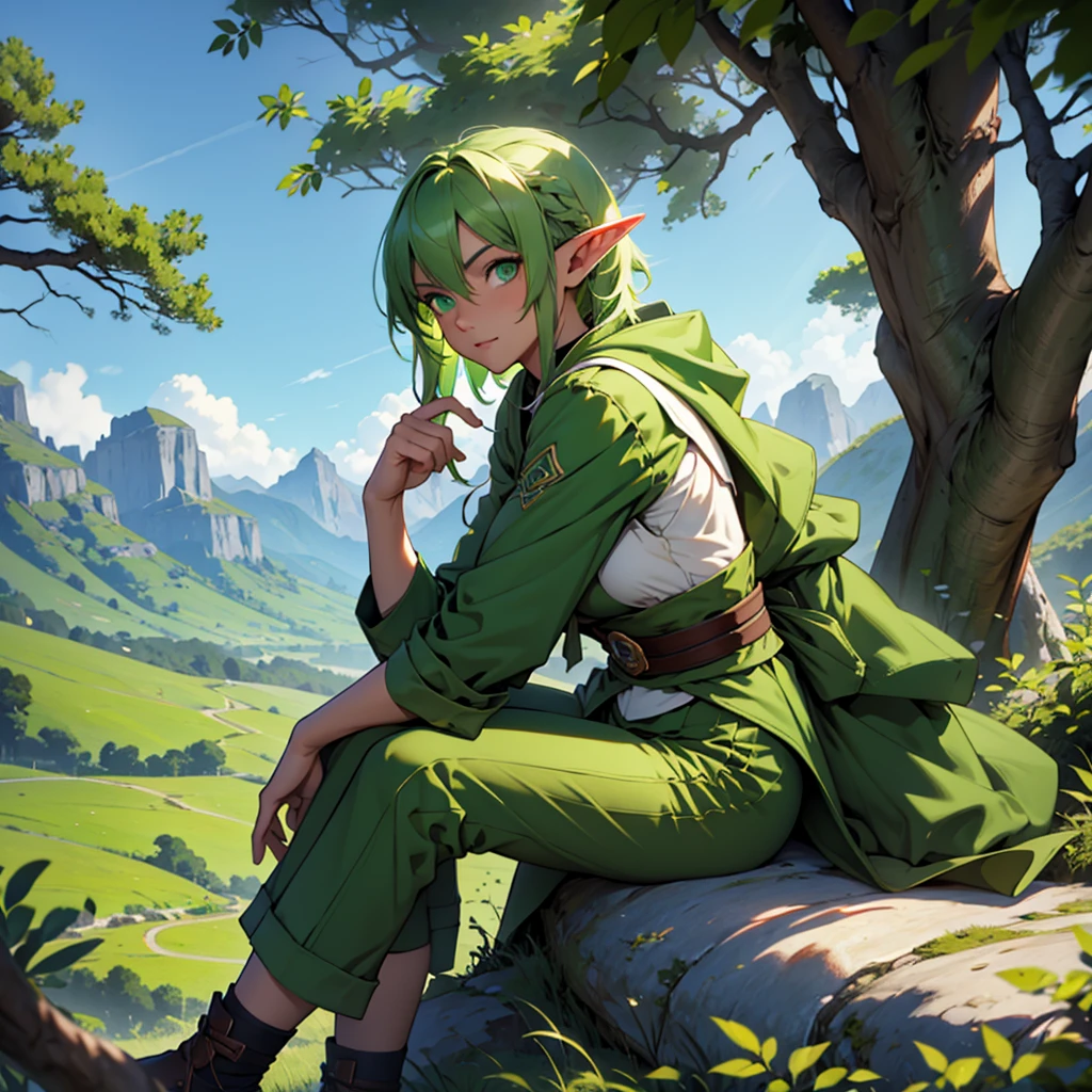 make a 31 year old girl elf with green hair and green eyes wearing a green archer outfit with shorts sitting on a mountain peak looking out to sea with various trees and animals by her side
