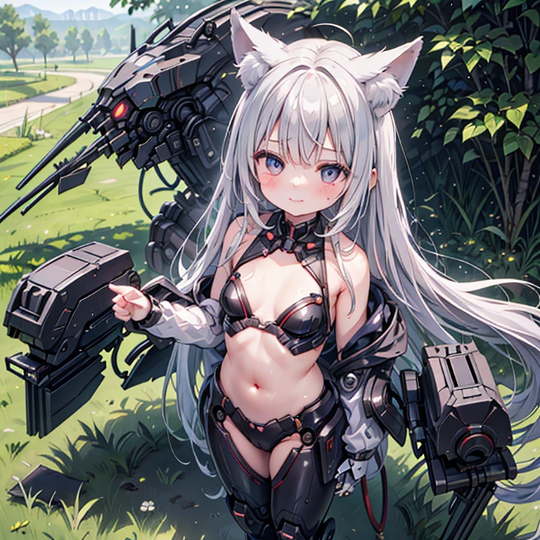 (Fox Girl, Fox Ears, Silver Hair, Fox Makeup, One Girl, Long Hair:1.6), (mecha musume, Machinery Parts,Robot Joints, Red clothes, I can see her cleavage, Skin is visible:1.8), (Body measurements are 75-60-75!, Young girl body, Small breasts, Emphasize the chest, Standing posture, Plump, muscle:1.9), Avatar, face, lewd face, Dominant representation, naughty face, Uplifting, Skin Texture, outside, Grassy field