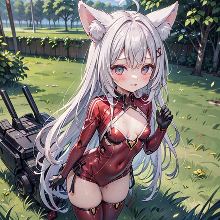 (Fox Girl, Fox Ears, Silver Hair, Fox Makeup, One Woman, Long Hair:1.6), (mecha musume, Machinery Parts,Robot Joints, Red clothes, I can see her cleavage, Skin is visible:1.8), (Body measurements are 75-60-75!, Young girl body, Small breasts, Emphasize the chest, Standing posture, Plump, muscle:1.9), Avatar, face, lewd face, Dominant representation, naughty face, Uplifting, Skin Texture, outside, Grassy field