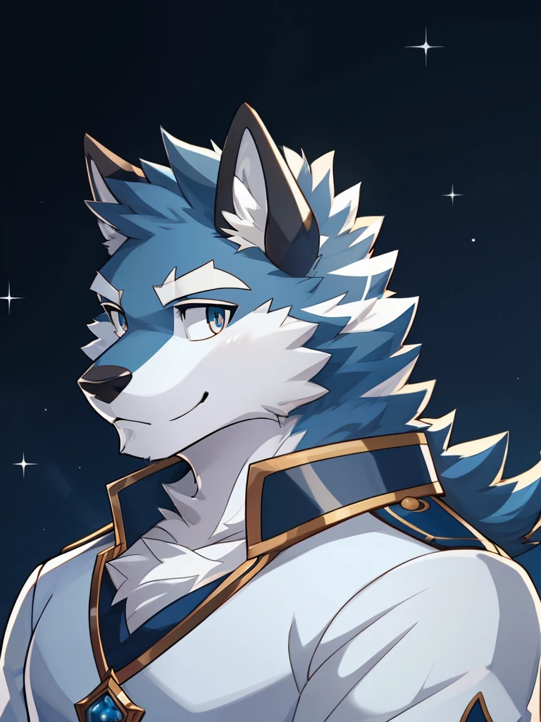 Detailed CG animation，Body hair，Charming and exquisite hair，（Argo），Bright eyes，White，，Blue fur，The background is the Knight Academy，youth，4K Beautiful Views