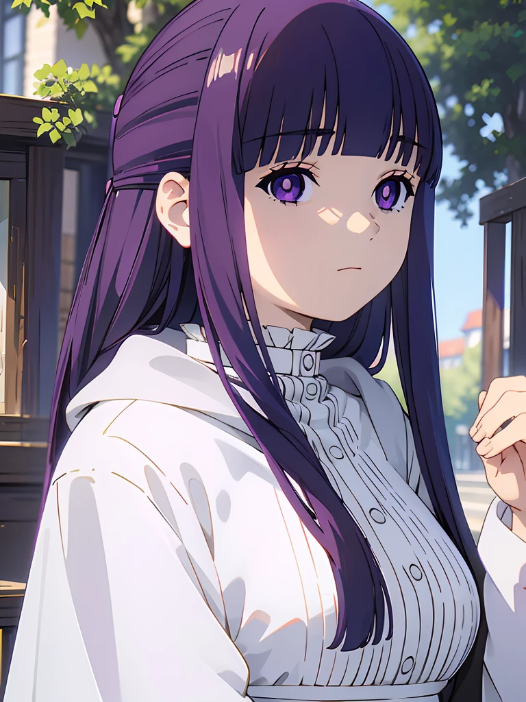 ((masterpiece)),(best quality),official art,extremely delicate and beautiful,extremely detailed CG,unity 8k wallpaper,ultra detailed,beautiful detailed eyes,extremely detailed face,outdoors,1girl,solo,upper body,(portrait:1.5),looking at viewer,facing viewer,expressionless,long hair,purple hair,straight hair,half updo,hime cut,sidelocks,blunt bangs,purple eyes,bright pupils,white pupils,hooded robe,hood down,black robe,white shirt,frills,buttons,long sleeves,medium breasts,long skirt,white skirt,black boots,