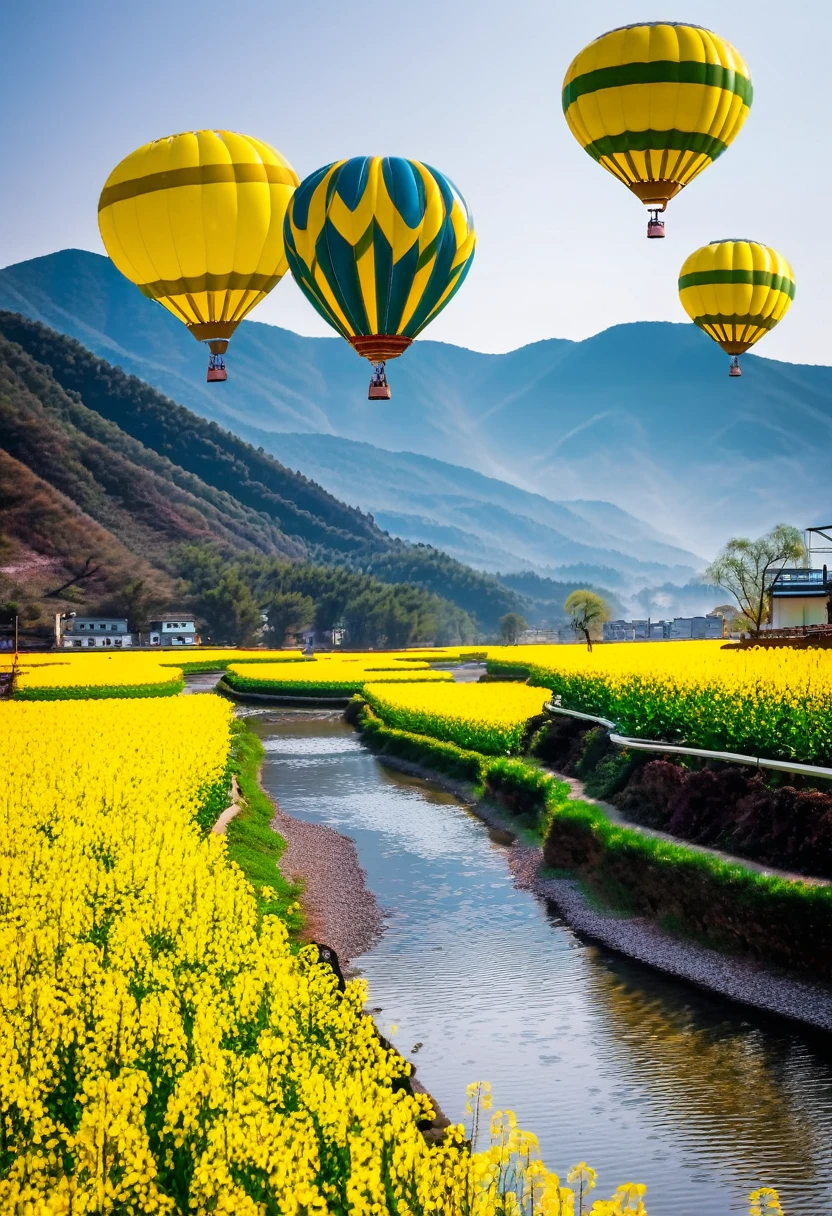 The fields are full of rapeseed flowers,There is a small river beside the field,Behind it are the continuous high numbers,Under the mountains,Driving a tourist steam train,There are 20 hot air balloons floating in the sky