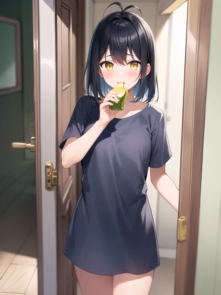 (masterpiece:1.2, best quality:1.1, highres,absurdres, high quality),(photorealistic:1.1),reflected light, colorful,ultra-detailed, ultra hd, super detailed,
yotsuya miko, open door, sleepwear,  messy hair, black hair, yellow eyes,( open door):1.4, house,  (sleepy), hallway, antenna hair, cowboy shot, 1girl, solo focus, 
 holding banana with naughty face