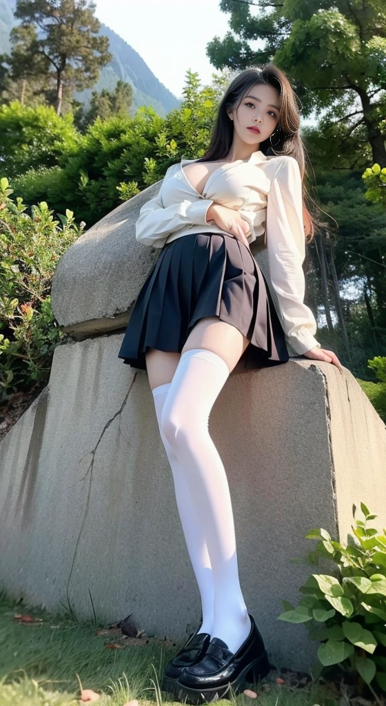 white thighhighs
loafers
black footwear
brown footwear
mary janes
pleated skirt
plaid skirt
serafuku ((whole body)), ((Chest Window, Visible cleavage)), Practical, Fashion Girl, Red lips, Cute woman, cosmetic, big eyes, beautiful eyes, ((whole body)), ((From below)), (best quality, masterpiece:1.2), Very detailed, (Practical:1.37), ((Sexy long legs)), beautiful, Young and energetic, Charming model, Large Breasts, Clive Arch, (Exquisite eyes, Delicate lips, extremely Exquisite eyes), Show a bright smile, Create stunning girl images, warm color, Very high color saturation, Official Art, Extremely detailed CG unified 8k wallpaper,(High Dynamic Range :1.4), (Movie),(Soft colors, Dull Color, Soothing tone :1.3), (Natural skin texture, ultra-Practical, Soft Light, sharp),(Very detailed), night, moonlight, ((In the mountains, plant, Leaning against the rocks))