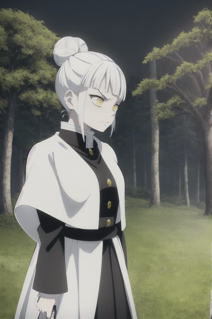kimetsu no yaiba style, 1girl, white hair in a bun, demon slayer uniform, solo, yellow eyes,holding a katana ,white hair, all black cape, all black haori, outdoors, bangs, tree,, anime coloring, ((masterpiece)) , night background , beautiful girl, cute, solo , angry face , ((high quality)) , standing solo fighting