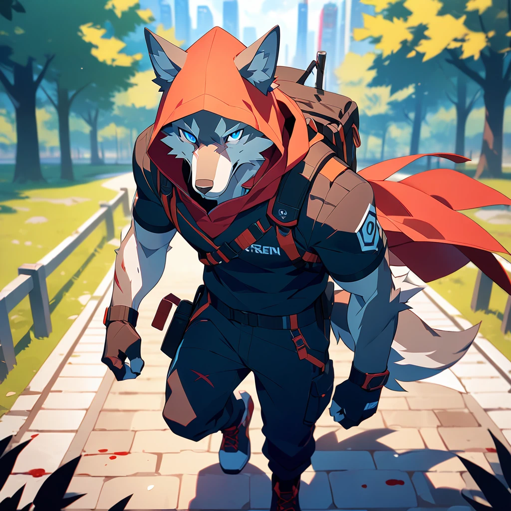 canid,canids,wolf,by zixiong, masterpiece,best quality,anthro,solo,looking at viewer,stand,anime style,outdoors,park,standing,blood on body,((beautiful blue eyes, furry, Wolf, grey fur, grey body, scar on eye)),(Black Hoodie, Red Hood, TechWear Clothing),(((solo))),