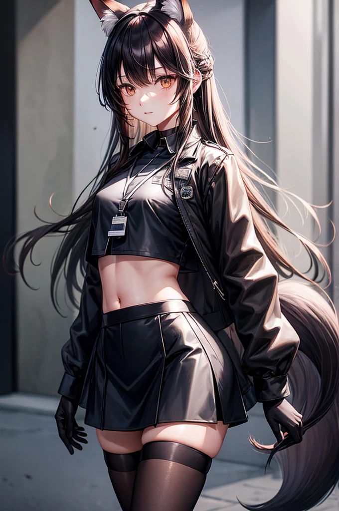 FrankaBase, long hair, fox tail, collared shirt, grey shirt, id card, black gloves, black skirt, black thighhighs, uneven legwear FrankaRainforest, long hair, fox tail, black choker, crop top, white jacket, cropped jacket, midriff, black shorts, black pantyhose