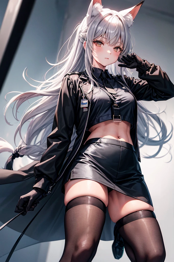 FrankaBase, long hair, fox tail, collared shirt, grey shirt, id card, black gloves, black skirt, black thighhighs, uneven legwear FrankaRainforest, long hair, fox tail, black choker, crop top, white jacket, cropped jacket, midriff, black shorts, black pantyhose