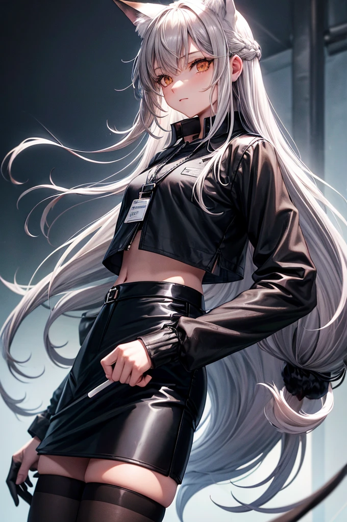 FrankaBase, long hair, fox tail, collared shirt, grey shirt, id card, black gloves, black skirt, black thighhighs, uneven legwear FrankaRainforest, long hair, fox tail, black choker, crop top, white jacket, cropped jacket, midriff, black shorts, black pantyhose