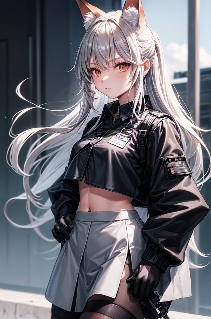 FrankaBase, long hair, fox tail, collared shirt, grey shirt, id card, black gloves, black skirt, black thighhighs, uneven legwear FrankaRainforest, long hair, fox tail, black choker, crop top, white jacket, cropped jacket, midriff, black shorts, black pantyhose