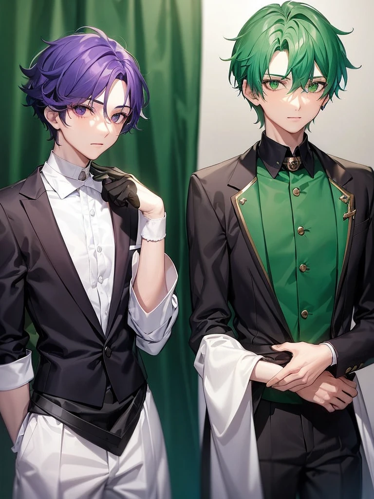 There are two elegant boys, the first boy has green hair and black and dark green clothes. The second boy has purple hair with white clothes..