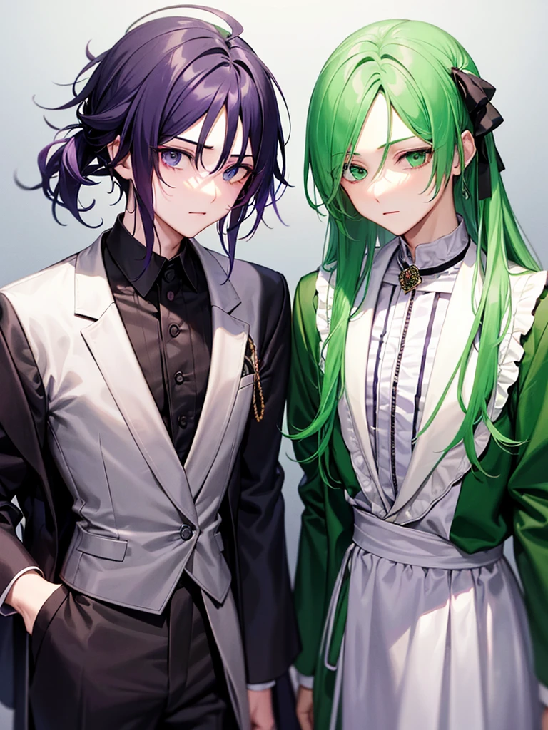 There are two elegant boys, the first boy has green hair and black and dark green clothes. The second boy has purple hair with white clothes..