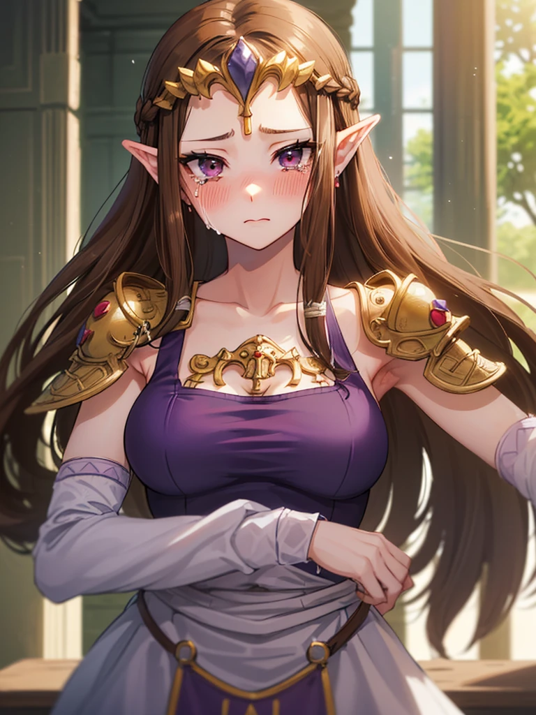 ((endure severe pain)),((Very detailed and beautiful face)),((Please show me your armpits)),((Face close-up)),((((Exposed breasts)))),(((They hesitate)),((Exposed shoulders)),((((Upper Body)))),((Are crying)),,((alone))Anime art style,masterpiece,(Highest quality), (Very detailedな),(Very delicate and beautiful),(alone),(Detailed face ),(((片close ~ eye))),(((((Mature Woman,Queen))))),((Very beautiful portrait)),((crinoline)),,((Straight Long Hair),((close ~ eye)),((close your mouth)),((Obscene)),(((Purple Blouse))),((Embarrassed expression)),((Dark brown hair)),blush,Princess Zelda, ((Highest quality)), (Very detailed), ,(((constrained))),beauty,beautiful,Princess Zelda, Ticker,)), ((vapor)),Nintendo, The Legend of Zelda,さらにblush