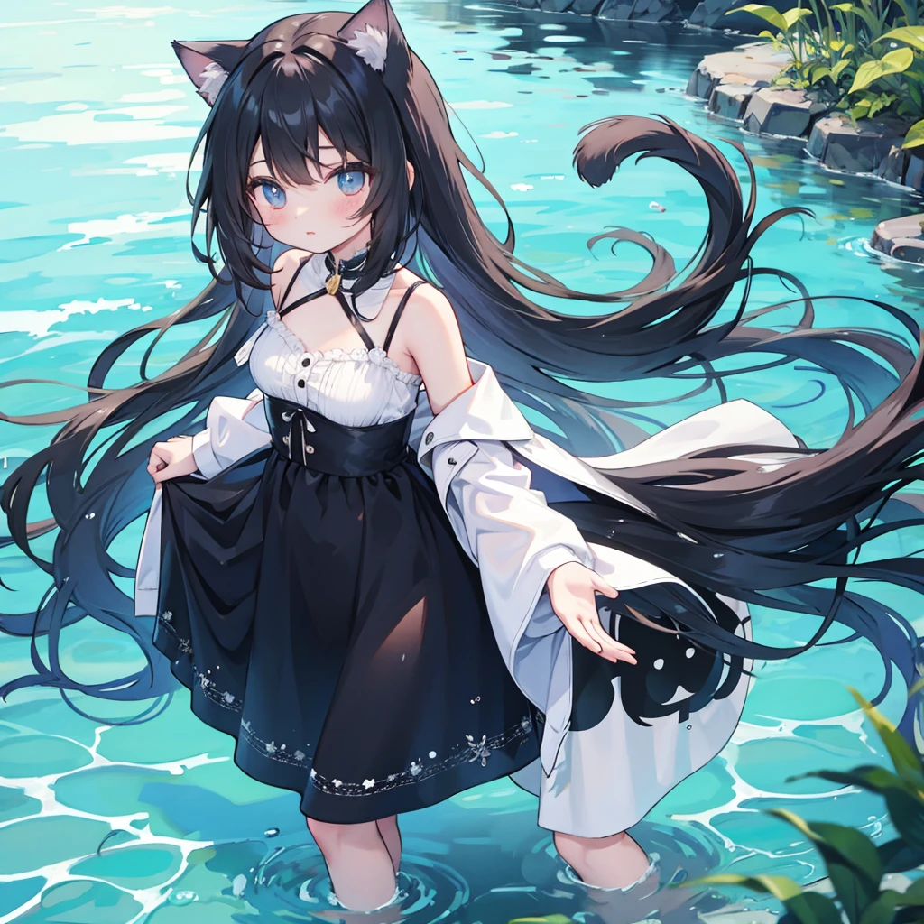Black hair girl,With cat ears,Standing in the water