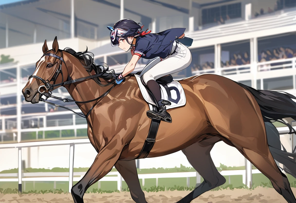 high school girl、Thoroughbred