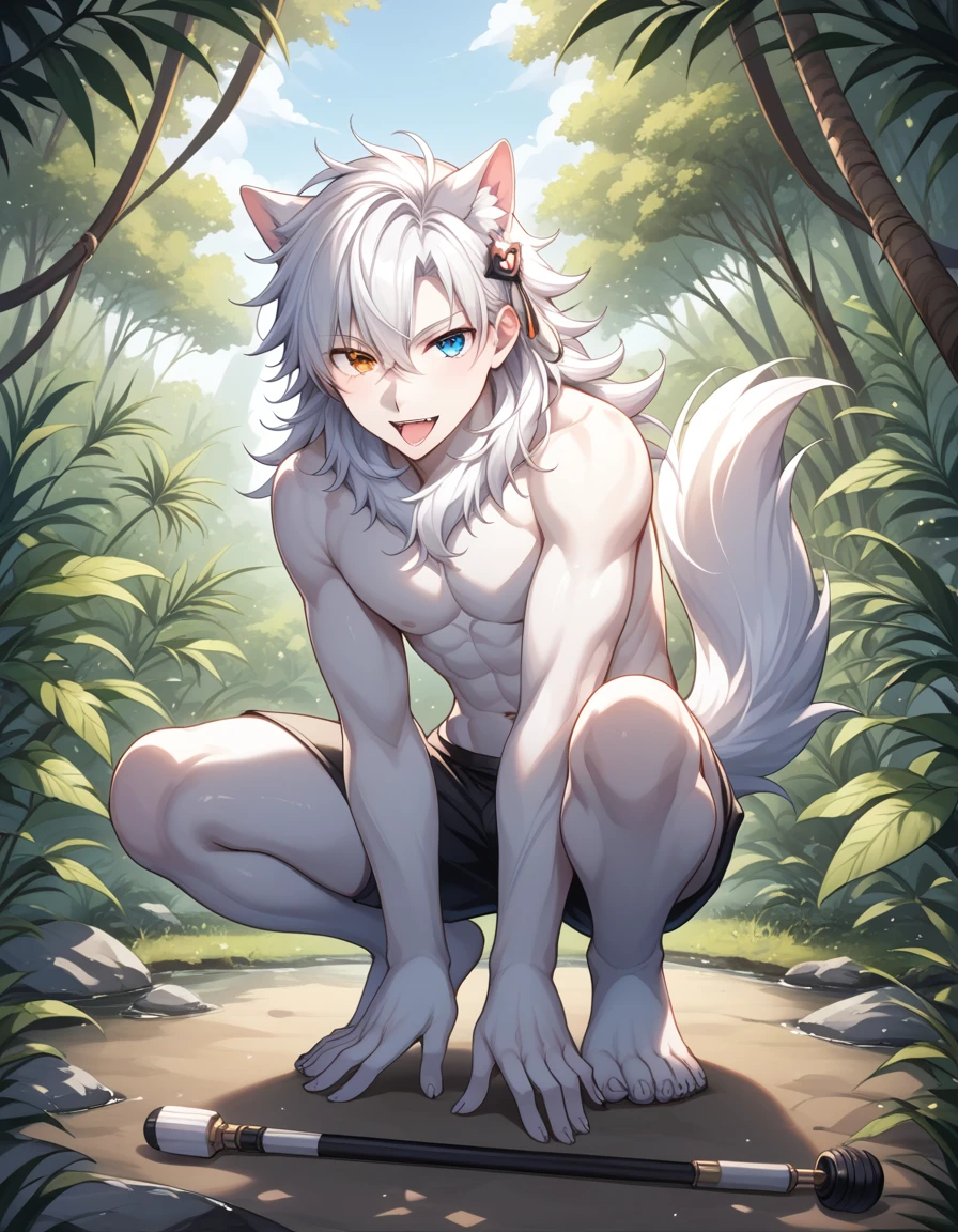 Fraction_9, Fraction_8_up, Fraction_7_Direction_6_up, src_毛茸茸of, Fraction_of, pushrod, Wolf, 独自of, 1 Boy, , SFW, 毛茸茸of, White body, Hairpin, Tail, 可爱of, 短of, Heterochromia, Cartoon, Flat Color, 简单of阴影, Full body portrait,Jungle Background, 模糊of背景,