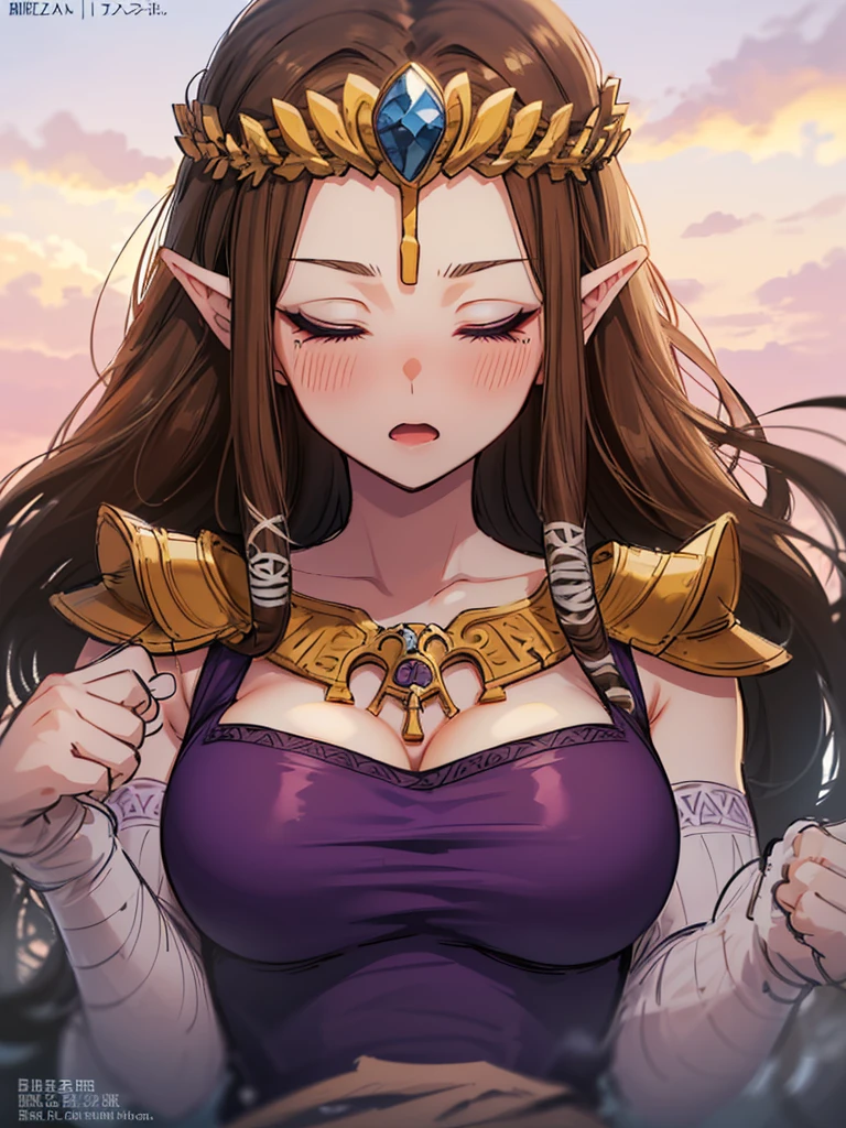 ((Very detailed and beautiful face)),((((((Show both sides))))),((close up of face)),((((Exposed breasts)))),(((Reluctant)),((Exposed shoulders)),((((Upper Body)))),((Raise your arms)),,((alone))Anime art style,masterpiece,(Highest quality), (Very detailedな),(とても繊細でbeautiful),(alone),(Detailed face ),((())),(((((Mature Woman,Queen))))),((とてもbeautiful肖像画)),((crinoline)),,((Straight Long Hair),((Close ~ eyes)),((Open your mouth)),(((Purple blouse))),((Embarrassed expression)),((Dark brown hair)),Blushing,Princess Zelda, ((Highest quality)), (Very detailed), ,(((constrained))),beauty,beautiful,Princess Zelda, Ticker,)),
((steam)),Nintendo, The Legend of Zelda