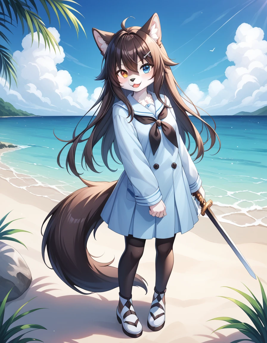 毛茸茸of, Fraction_of, pushrod, Wolf, 独自of, 1furry , SFW, 毛茸茸of, Blue and white, sword, Tail, 可爱of, 短of, Heterochromia, Cartoon, Flat Color, 简单of阴影, Full body portrait,Seaside background, 模糊of背景,
