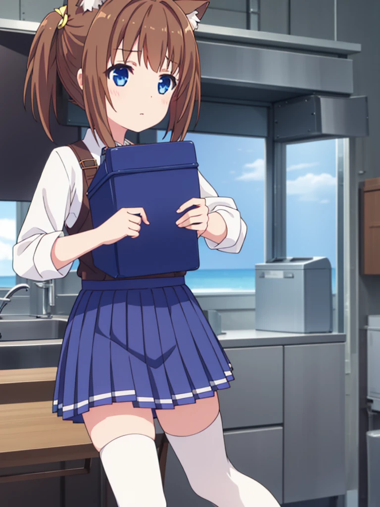 Vtuber excellent quality very detailed girl short brown hair brown eyes blue eye with cat ears short pleated skirt long white stockings 