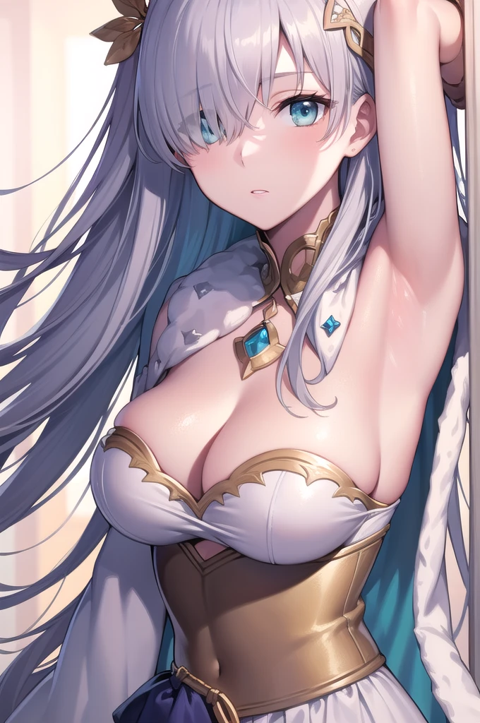 ((close up of face)),((Show your armpits)),fgoAnastasia, Anastasia, blue eyes, Grey Hair, Hair between the eyes, (Hair on one eye:1.5), Long Hair, bangs,
break blue Cape, brown hair band, Cape, dress, Fur trim, hair band, Royal Robes, sash, tachi-e, white dress, Wide sleeves,
break looking at viewer,
break indoors,
break (masterpiece:1.2), Highest quality, High resolution, unity 8k wallpaper, (figure:0.8), (Beautiful attention to detail:1.6), Highly detailed face, Perfect lighting, Highly detailed CG, (Perfect hands, Perfect Anatomy),