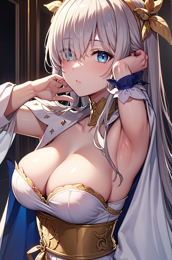 ((close up of face)),((Show your armpits)),fgoAnastasia, Anastasia, blue eyes, Grey Hair, Hair between the eyes, (Hair on one eye:1.5), Long Hair, bangs,
break blue Cape, brown hair band, Cape, dress, Fur trim, hair band, Royal Robes, sash, tachi-e, white dress, Wide sleeves,
break looking at viewer,
break indoors,
break (masterpiece:1.2), Highest quality, High resolution, unity 8k wallpaper, (figure:0.8), (Beautiful attention to detail:1.6), Highly detailed face, Perfect lighting, Highly detailed CG, (Perfect hands, Perfect Anatomy),