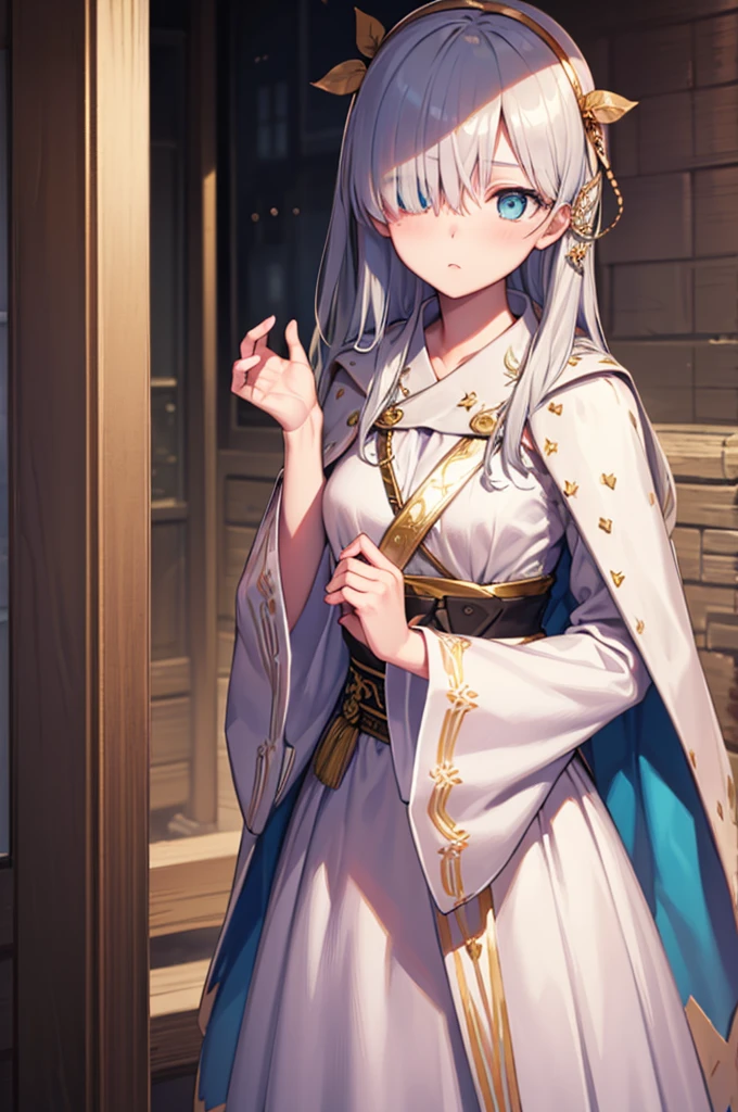 fgoAnastasia, Anastasia, blue eyes, Grey Hair, Hair between the eyes, (Hair on one eye:1.5), Long Hair, bangs,
break blue Cape, brown hair band, Cape, dress, Fur trim, hair band, Royal Robes, sash, tachi-e, white dress, Wide sleeves,
break looking at viewer,
break indoors,
break (masterpiece:1.2), Highest quality, High resolution, unity 8k wallpaper, (figure:0.8), (Beautiful attention to detail:1.6), Highly detailed face, Perfect lighting, Highly detailed CG, (Perfect hands, Perfect Anatomy),