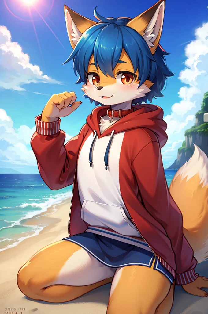 fox boy,Red collar,4K resolution,Hoodie outfit Sailor outfit,Ocean,