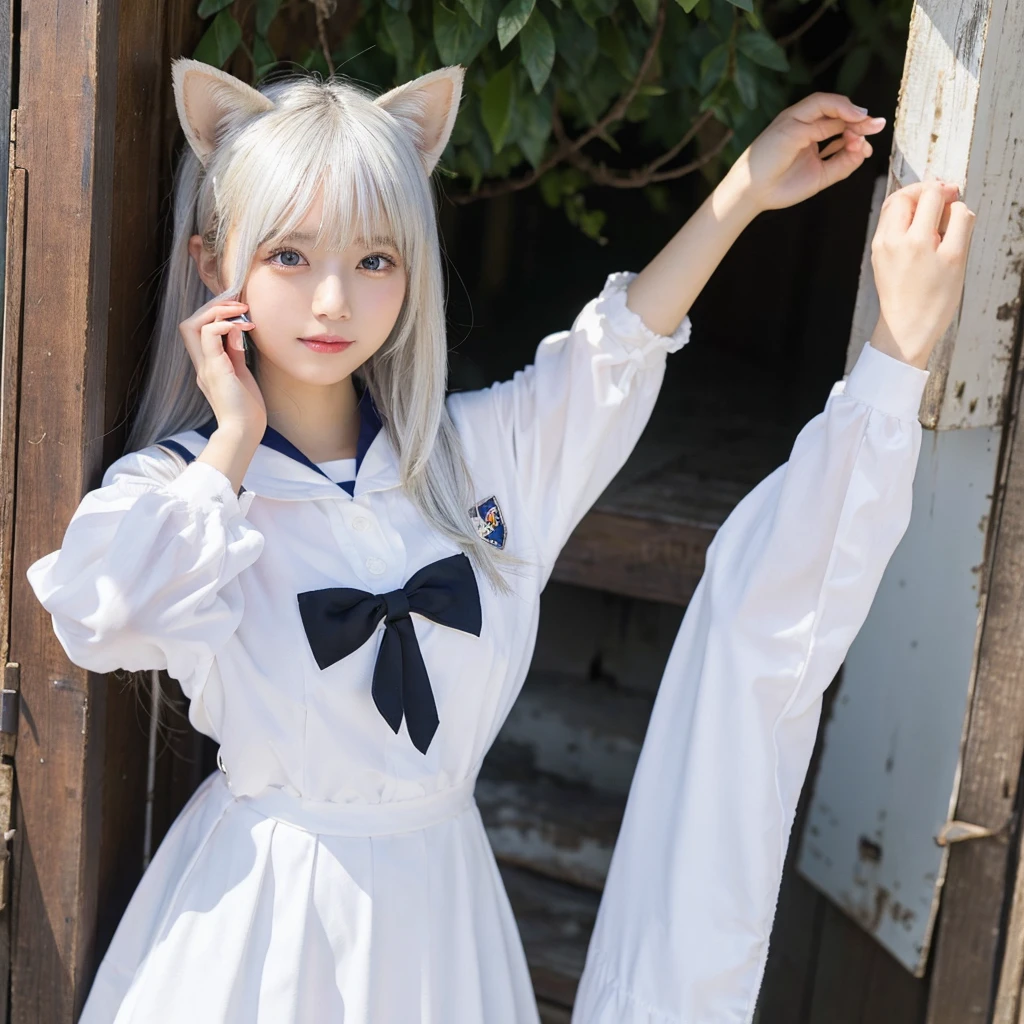 score_9, score_8_up, score_7_up, score_6_up, source_anime, rating_safe, masterpiece, best qualityer, Cat-eared girl with white hair, Straight ahead, Viewer's POV, hands out, adolable, sailor outfit