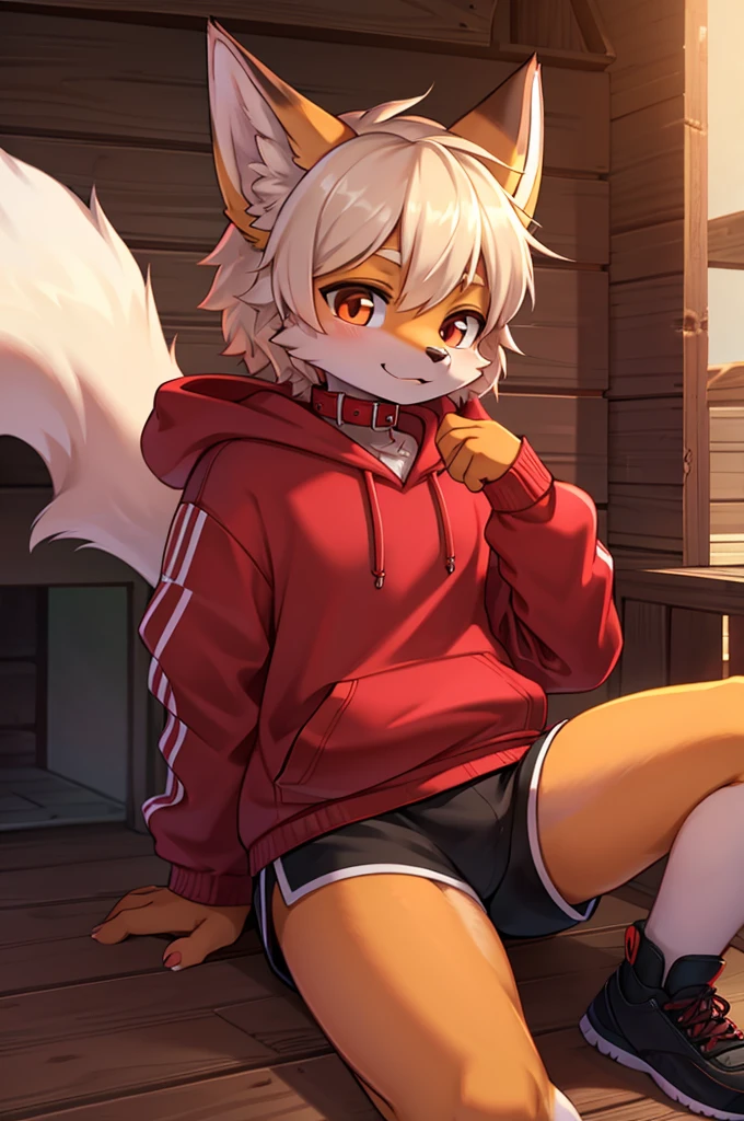 fox boy,Red collar,4K resolution,Hoodie outfit Streetwear,doghouse