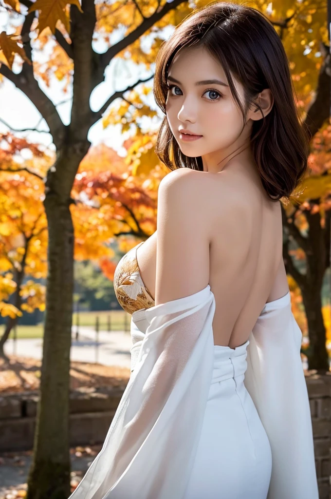 (masutepiece:1.3, Photorealsitic:1.4, 8K), top-quality, masterpiece, 超A high resolution, Professional camera work, Grow Light Effect, Realistic portrait, Cinematic Light, Highly detailed skin and facial texture:1.3, Perfect dynamic composition, The ultra-detailliert, A detailed eye, Detailed limbs, autumnal, Autumn leaves landscape in the evening:1.25, 1girl in, Cute sexy 23 year old slim woman, Fair skin, Autumn leaves are dancing:1.25, (Enraptured look:0.9, Totally captivates you:1.0), (White kimono:1.31 Only shoulders and scapula exposed), (Backshots, Calm pose), (voluptuous breasts:1), (Beautiful blue eyes, Eyes that feel beautiful eros:0.85), Sexy face:0.4, (A mouthfeel that feels beautiful eros:0.85), ((Too cute beauty:0.9)), back sharp focus