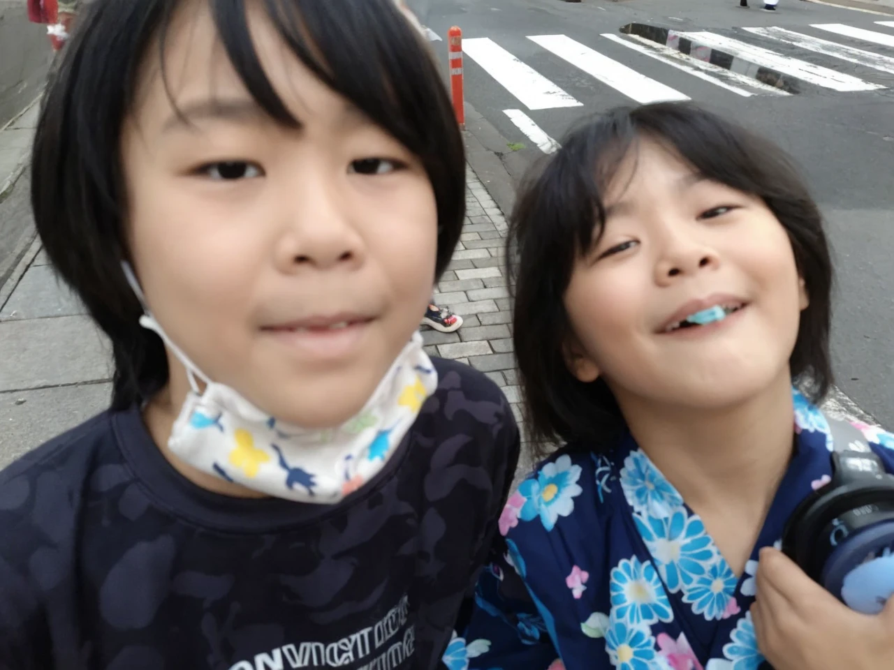 Monkey face