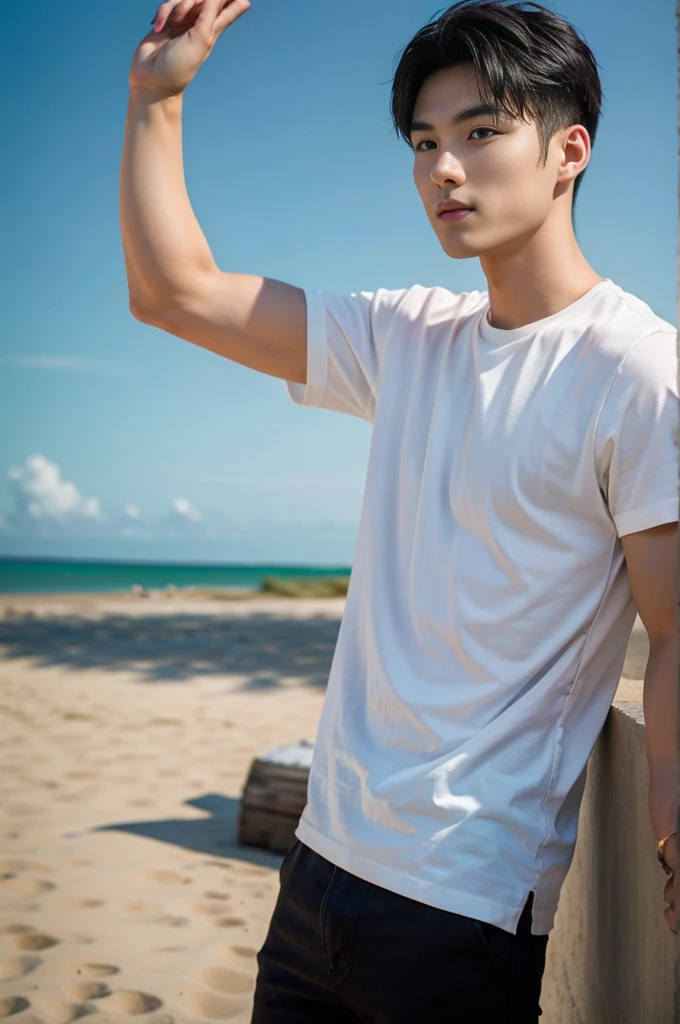 A handsome, muscular young Asian man looks at the camera. In a simple t-shirt white and red , Fieldside, grass, beach, sunlight