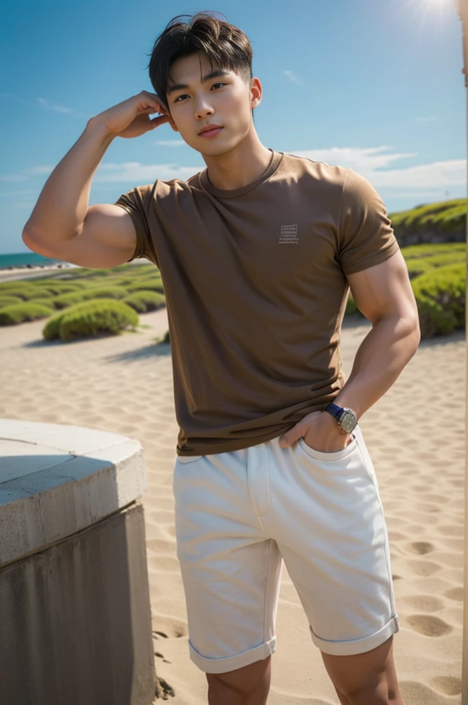 A young Asian man stands, handsome, muscular, looking at the camera. In a plain brown t-shirt, Fieldside, grass, beach, sunlight