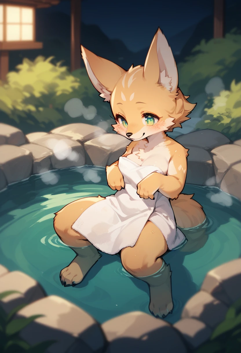 hot spring, vapor, Cinematic, Depth of written boundary, Mysterious and romantic atmosphere, Caustic Surfaces, Absurd, Perfect Anatomy(Very cute girl, kemono, Water Play)Natural appearance at birth, towel, Volumetric lighting, Hairy body, smile, relax, Dramatic composition,Furry，kemono，Naked，Completely naked，Naked，
